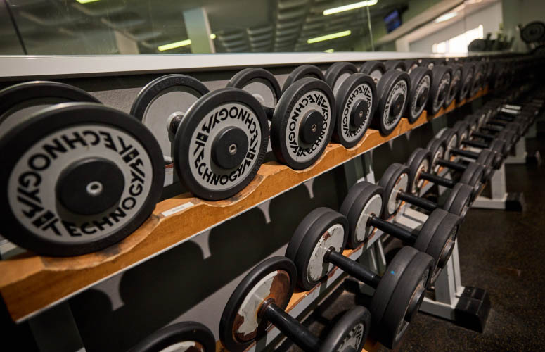 Fitness centre weights